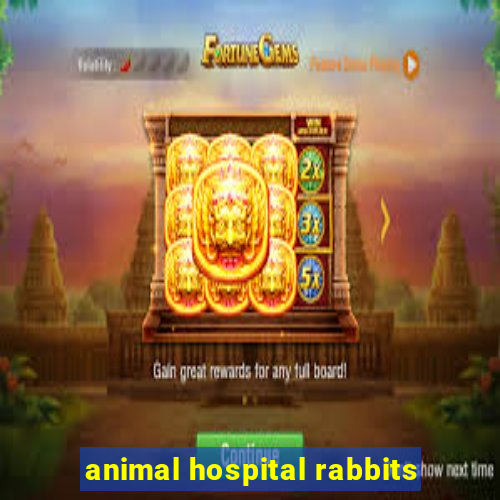 animal hospital rabbits